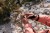 Silva-Trekking-poles-Toni-Spasenoski-47-1024x683.jpg