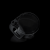 Arc_Zoom_37909-5