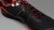 BOLDXI_HL2.webp